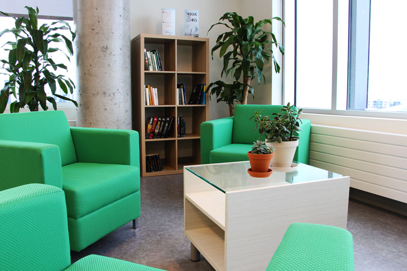 Espace de détente pour lire ou discuter entre collègues avec des fauteuils, une table basse et une grosse plante d’intérieur.