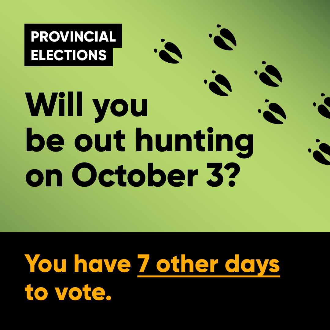 Provincial elections - Will you be out hunting on October 3? You have 7 other days to vote.