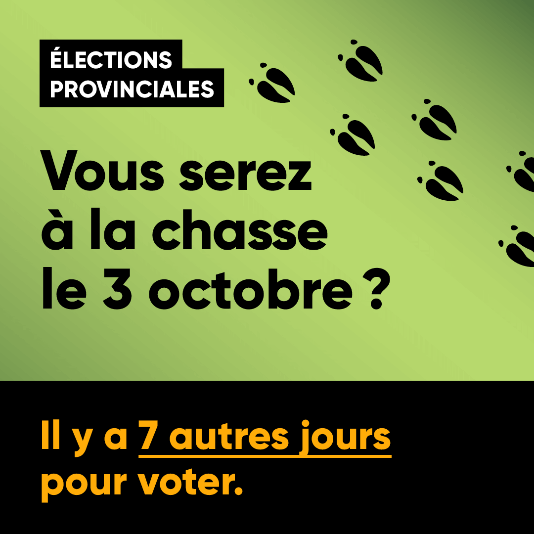 Élections provinciales 2022 - Vous serez à la chasse le 3 octobre?